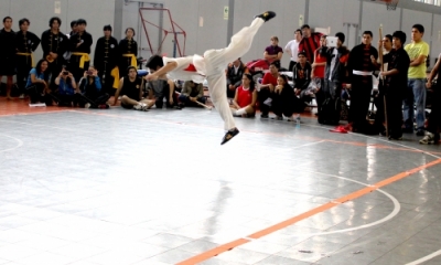 Demostración de kung-fu.