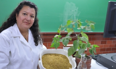 Nancy Chasquibol (Ingeniería Industrial).