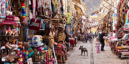 Reporte trimestral socioeconómico y de bienestar marzo 2026