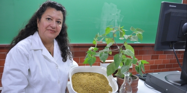 Nancy Chasquibol (Ingeniería Industrial).