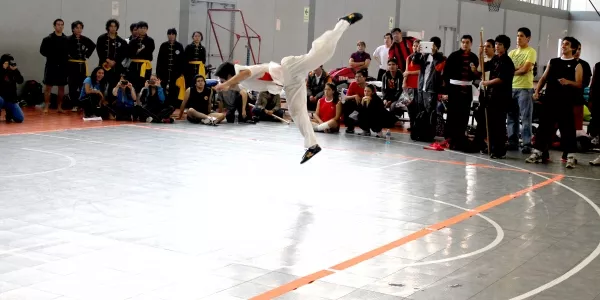 Demostración de kung-fu.